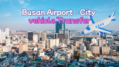 Busan Airport to City Transfer