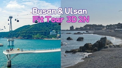 [09:00 ~ 18:00] Busan / Ulsan Tour