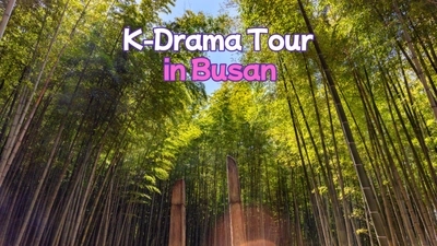 [WTTC] K-Drama Tour - Half day(Afternoon)