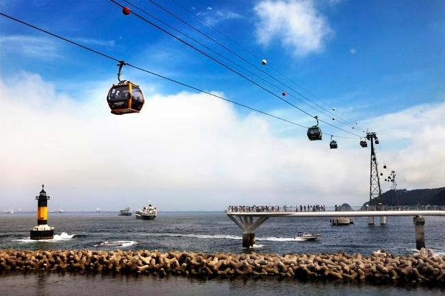 13:00 ~ 14:30 Songdo Air Cruise and Suspension Bridge