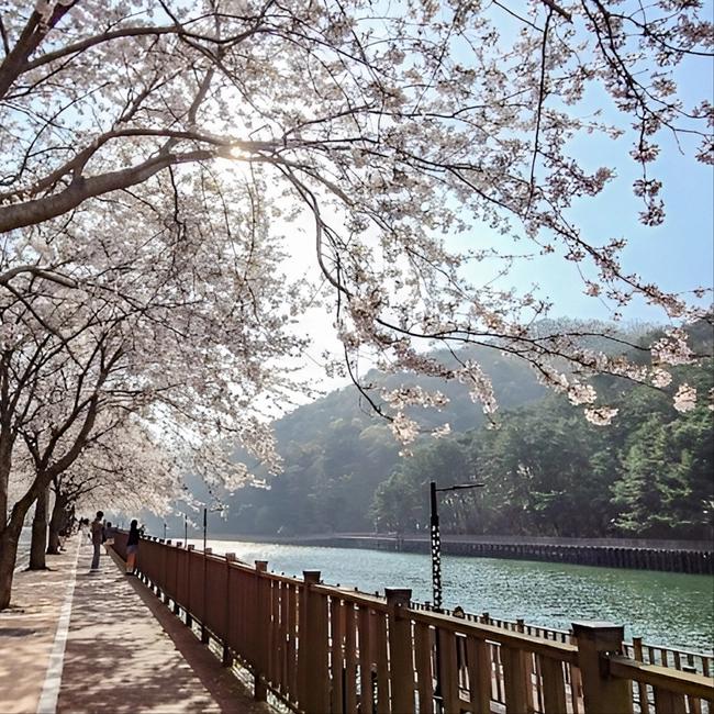 11:00 Byungsan Lake